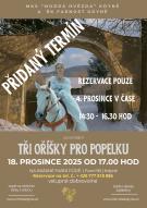 Promítání pohádky TŘI OŘÍŠKY PRO POPELKU - PŘIDANÝ TERMÍN 1